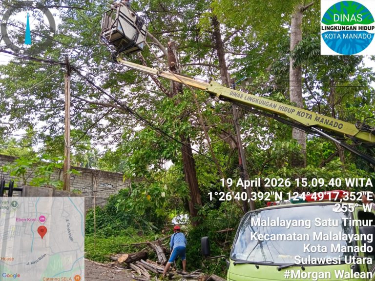 WhatsApp Image 2026-04-20 at 10.09.14