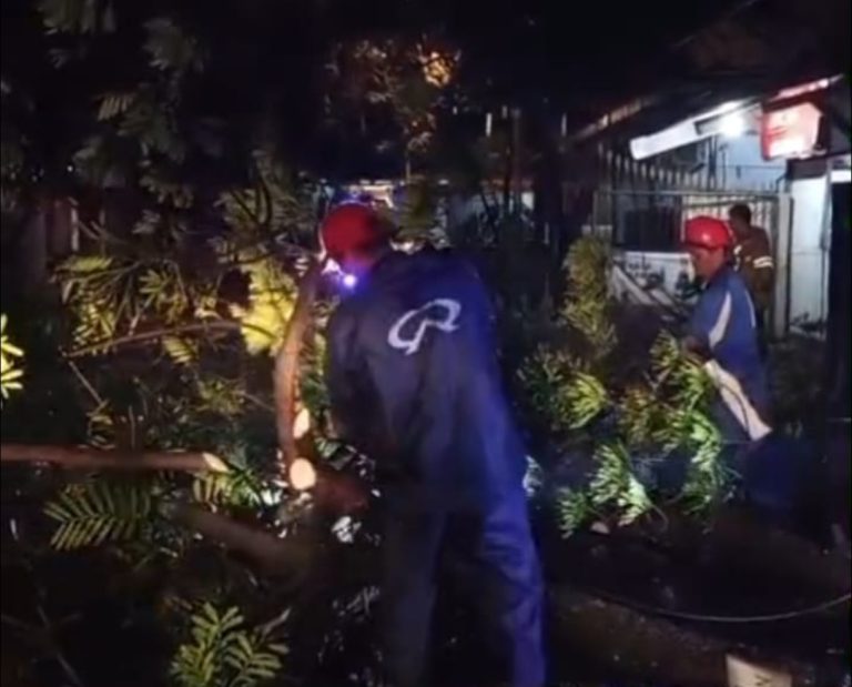 WhatsApp Image 2026-04-20 at 11.04.06