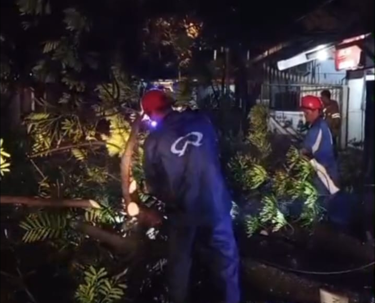 WhatsApp Image 2026-04-20 at 11.04.06