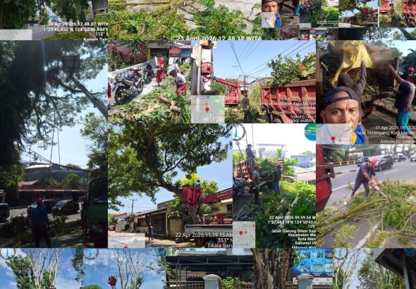 WhatsApp Image 2026-04-23 at 13.29.28