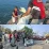 InShot_20260926_093147620-1024x1024